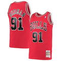 Chicago Bulls Dennis Rodman Throwback Stitched Game Jersey